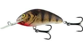 Salmo Hornet Floating 9cm